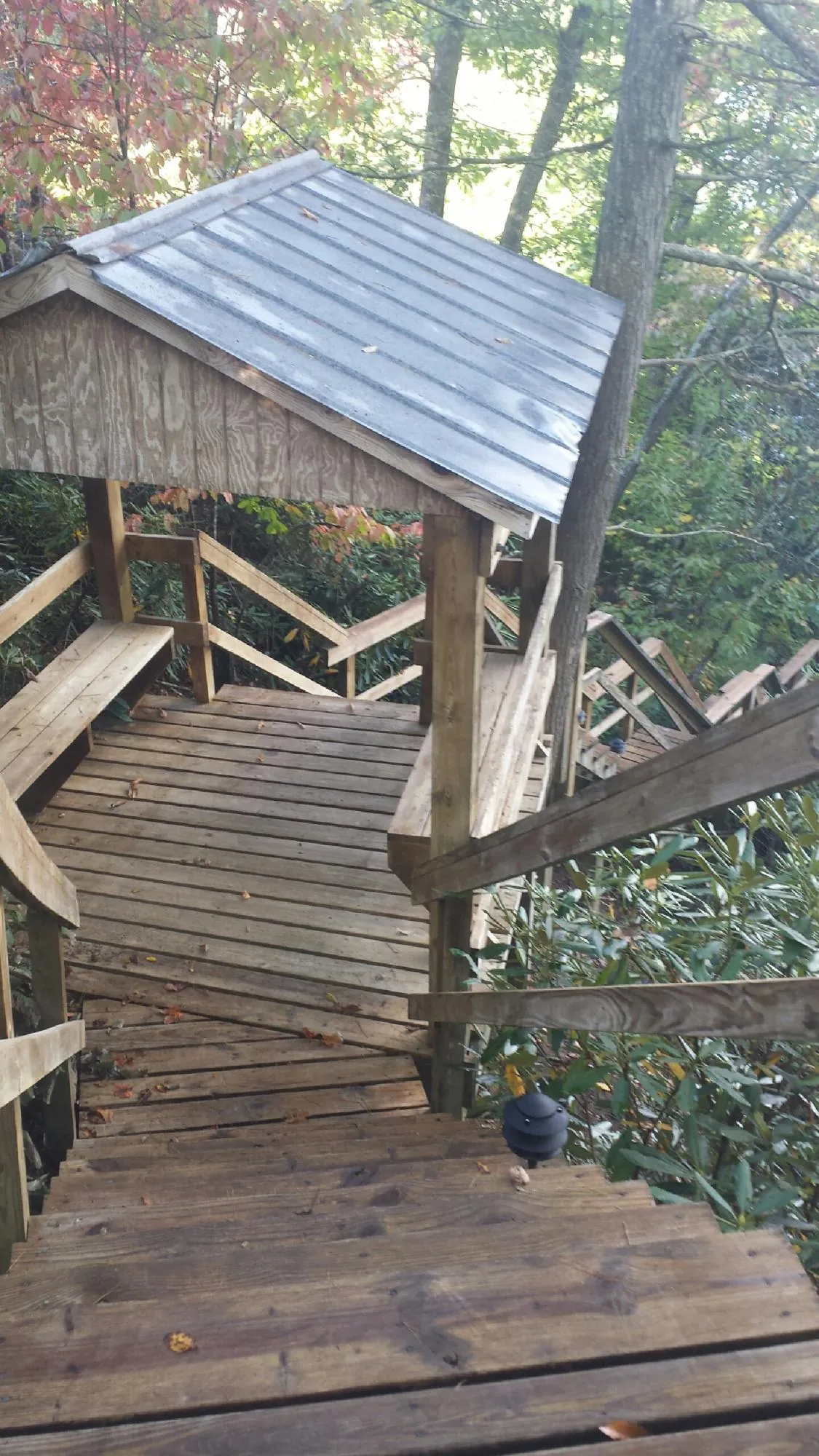 Metal roofed shelter over wooden steps on a wooded walkway — Skylight Repair & Installation work by our crew in Satsuma